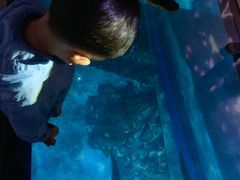 -暹罗海洋世界