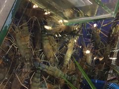 -79号渔船海鲜饭店(华强北店)