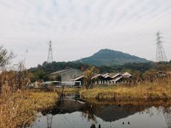 -西湖风景区-江洋畈生态公园