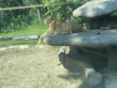 -北京野生动物园