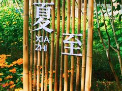 -莲花池公园
