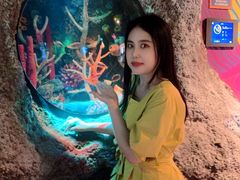 -沈阳海洋探索中心