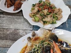 -东鸽皇(奥园·中环广场店)