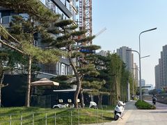 -木塔寺遗址生态公园