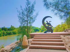 -广东惠东海龟国家级自然保护区