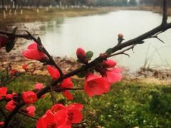 -艾溪湖湿地公园