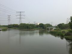-九里河湿地公园
