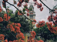 -观澜湖华谊冯小刚电影公社(百年记忆公社)