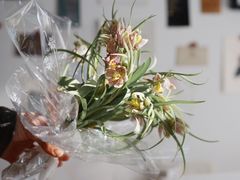 -花生FM_FLOWERS