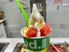 -Salud撒露欧洲冻酸奶(蓝色港湾店)