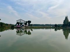 -水岸居湖景农家乐·阳澄湖大闸蟹