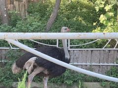 -大连老虎滩海洋公园