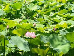 -韶山毛泽东同志故居