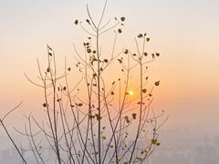 -杭州半山国家森林公园