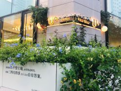 -Dr.U博士医疗美容医院