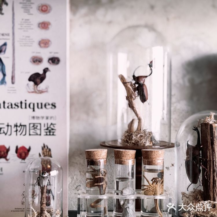 威尔德Ⅰ极致复古网红咖啡馆