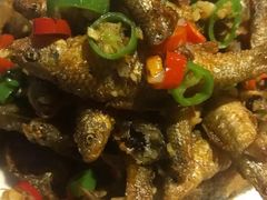 -辣猫龙虾(马泉营店)