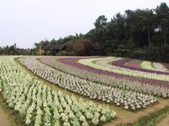 -保利石象湖景区