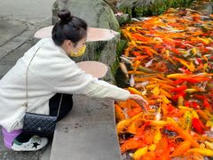 -温江公园