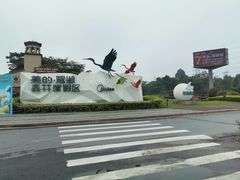 -美的鹭湖森林度假区