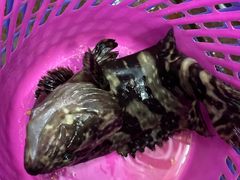 -八方海味餐厅