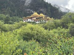 -稻城亚丁景区-冲古草甸