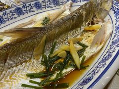 清蒸白水鱼-洞天食府(北大街店)