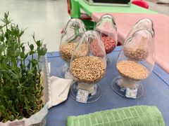 -兴芮温泉度假区