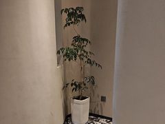 -不晚酒店(苏州观前平江路店)