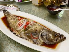 -清之口·东乡鸡自助饺子(经二路店)