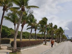-深圳湾公园(南山区)