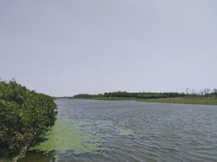 -春花秋色城市公园