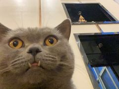 -Catmate·猫肥家润(金润铂宫店)