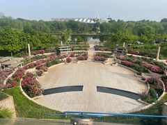 -石家庄市植物园