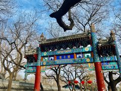 -北京国子监胡同