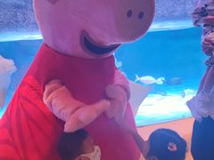 -沈阳海洋探索中心