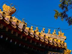-故宫博物院(故宫)