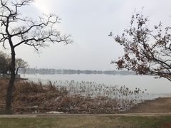 -东湖磨山景区