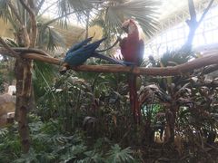 -杭州开元森泊度假乐园