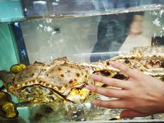 -甄御•海鲜新青岛菜(麦岛店)