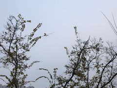 -翠山·映月湖景餐厅(映月湖公园店)