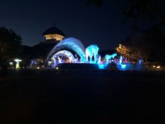 -清迈夜间动物园