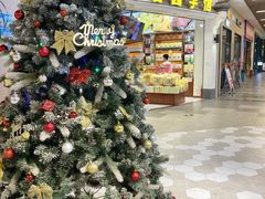 -横琴购口岸商业广场