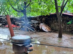 -水库活鱼馆(于桥水库店)