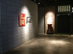 -CGV影城(黄河道ScreenX店)