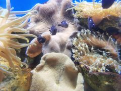 -海合安武汉极地海洋公园