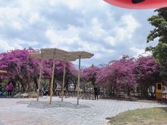 -大理洱海