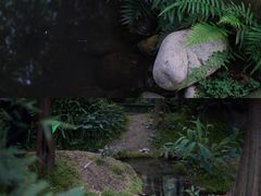 -成都市活水公园