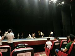 -国学剧院(功夫诗·九卷)