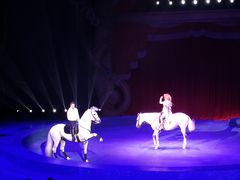 -珠海横琴长隆《卡卡虎奇遇记》